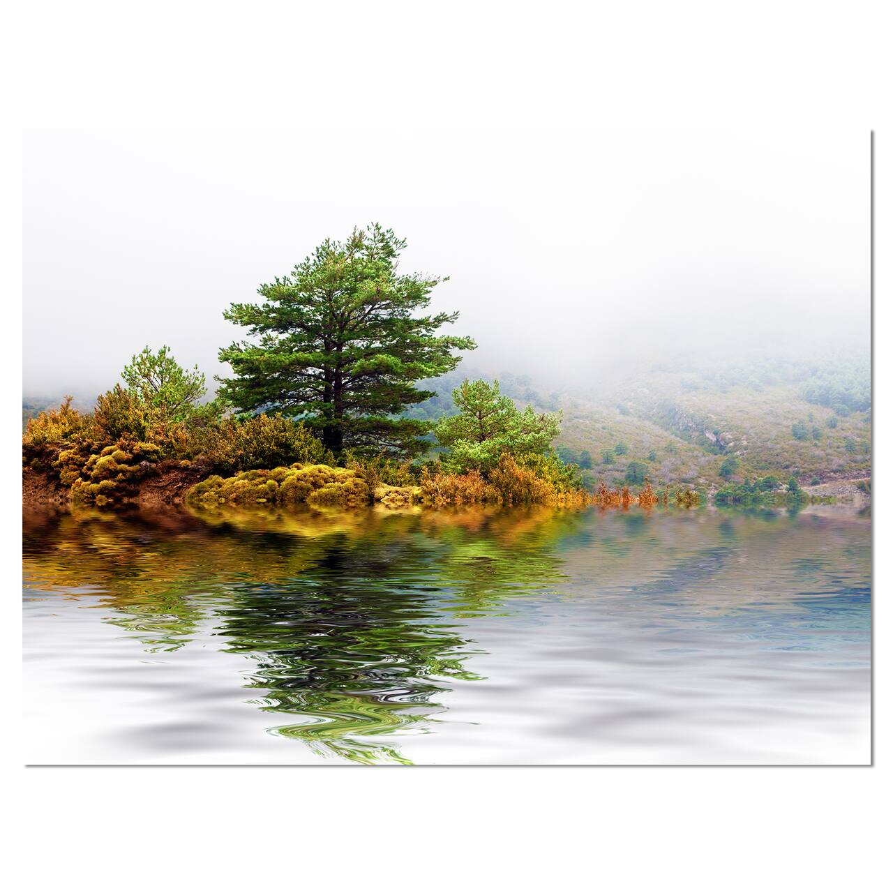 Designart - Pine Tree with Reflection - Landscape Photography Canvas Print